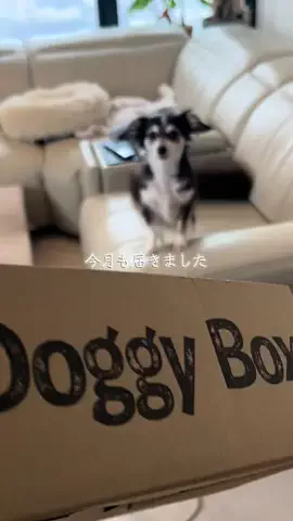 休井美郷のTikTok投稿