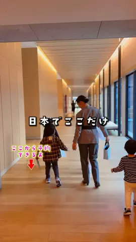 ペリー来航のTikTok投稿