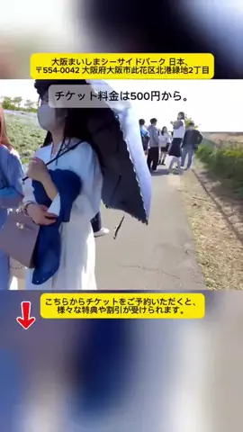 Tiengnhat2のTikTok投稿