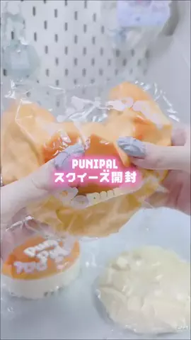 ·̩͙꒰ঌゆめみるメイド໒꒱·̩͙のTikTok投稿