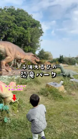 ペリー来航のTikTok投稿