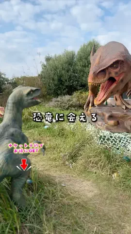 ペリー来航のTikTok投稿