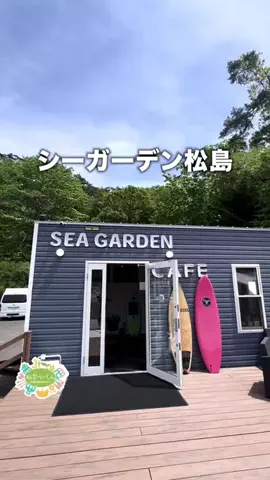 仙台つーしんエンタメ部のTikTok投稿