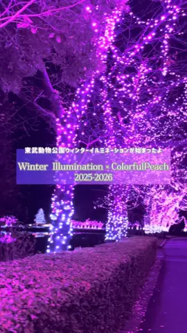 cocoaco32のTikTok投稿