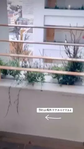 cocoaco32のTikTok投稿