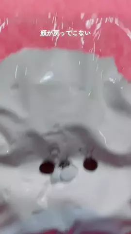 なまてんどうのTikTok投稿