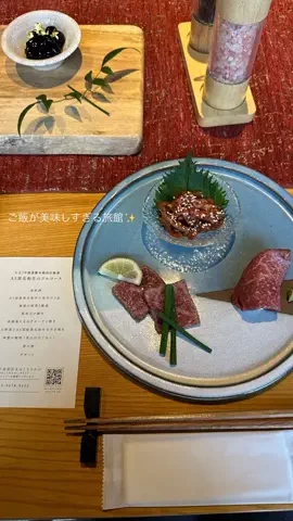 なみちゃん旅のTikTok投稿