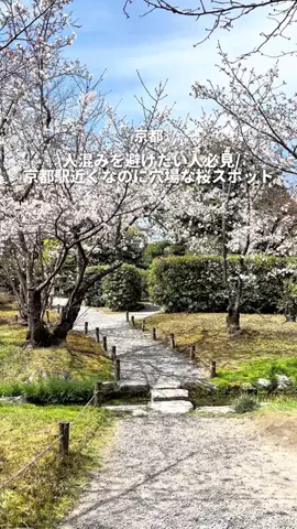 ゆう| 京都デートを極めた人のTikTok投稿