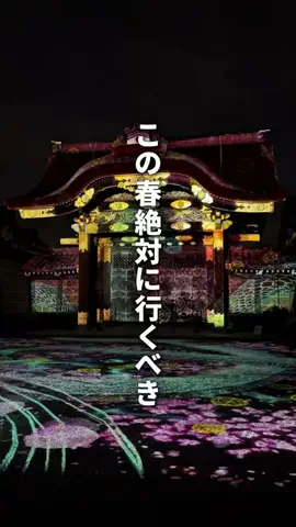 ゆう| 京都デートを極めた人のTikTok投稿