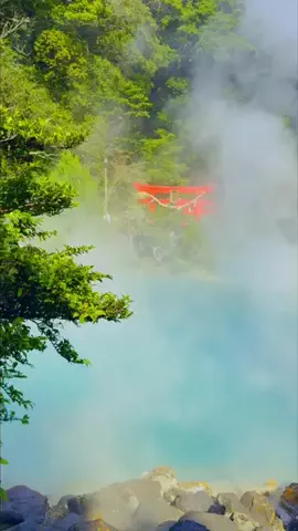 Japan Tourism | 泊まりたくなるホテルのTikTok投稿