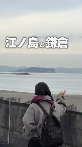 りょうまい｜おでかけ夫婦のTikTok投稿