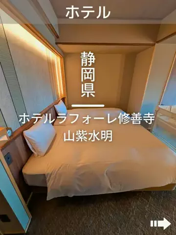 デンじょーの旅のTikTok投稿