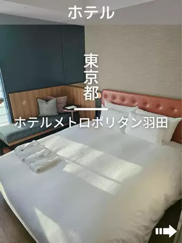 デンじょーの旅のTikTok投稿