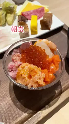 デンじょーの旅のTikTok投稿
