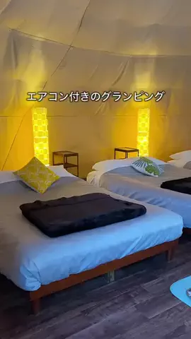 デンじょーの旅のTikTok投稿