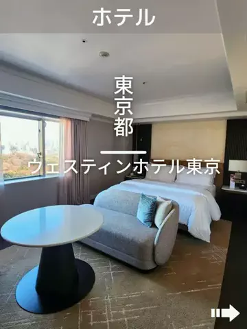 デンじょーの旅のTikTok投稿