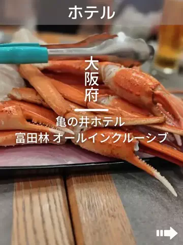 デンじょーの旅のTikTok投稿