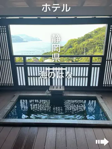 デンじょーの旅のTikTok投稿