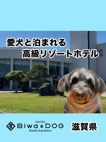 おでかけワク旅🎈のTikTok投稿