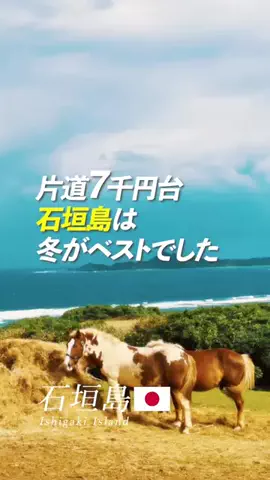 wataru_lennycodefictionのTikTok投稿