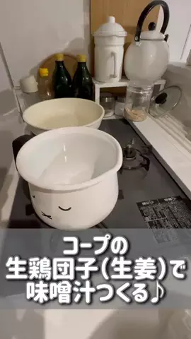 たむふぁむchannelのTikTok投稿