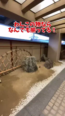 おでかけワク旅🎈のTikTok投稿