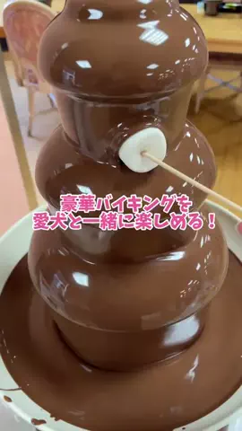 おでかけワク旅🎈のTikTok投稿