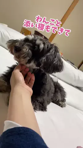 おでかけワク旅🎈のTikTok投稿