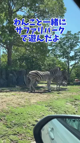 おでかけワク旅🎈のTikTok投稿