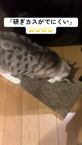 ねとらぼのTikTok投稿