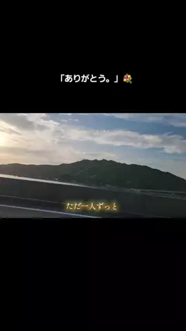 ないぐるないのTikTok投稿