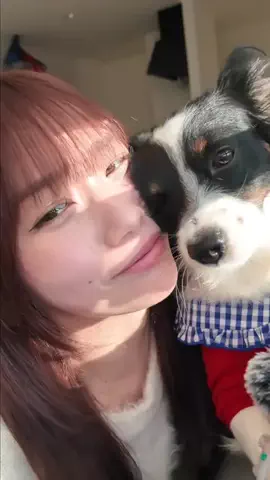 ひかりんちょのTikTok投稿