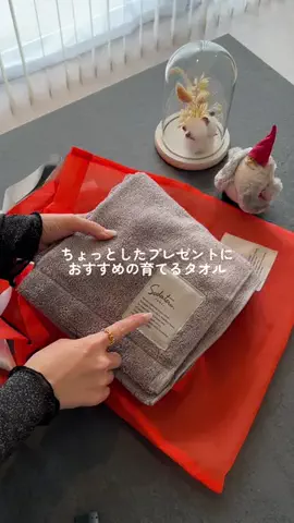 shippi  ∥ しっぴのTikTok投稿