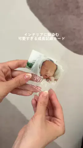 shippi  ∥ しっぴのTikTok投稿