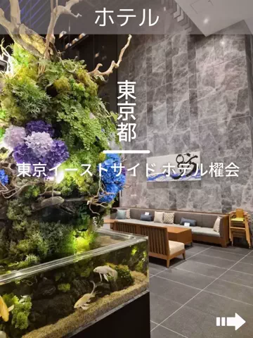 デンじょーの旅のTikTok投稿