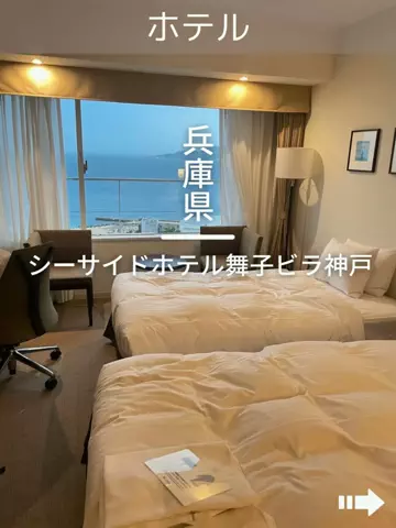 デンじょーの旅のTikTok投稿