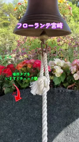 すずめのTikTok投稿