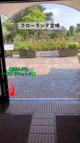 すずめのTikTok投稿
