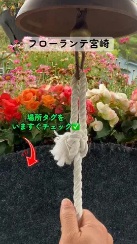 すずめのTikTok投稿