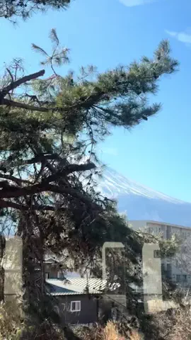 はーにーのTikTok投稿
