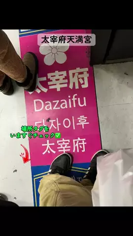 すずめのTikTok投稿