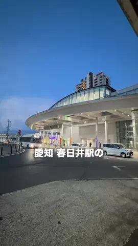 名古屋グルメ【ナゴグル】🍤のTikTok投稿