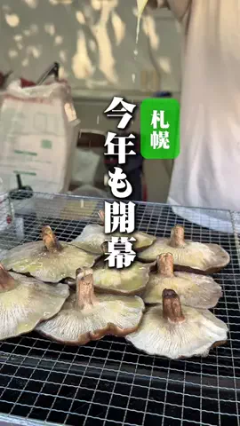 敬 北海道グルメ*🍨🍚のTikTok投稿