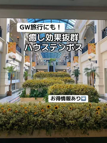 あかり|年100日旅暮らし✈️子連れも♡のTikTok投稿