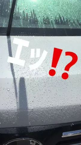 髭乙女🍦ᗢᘏᓗの挑戦✨のTikTok投稿