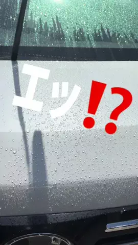 髭乙女🍦ᗢᘏᓗの挑戦✨のTikTok投稿