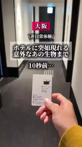 アイハチ｜西日本の旅行を3倍楽しくするお出かけ術のTikTok投稿