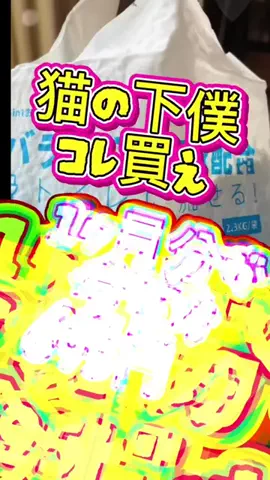 髭乙女🍦ᗢᘏᓗの挑戦✨のTikTok投稿
