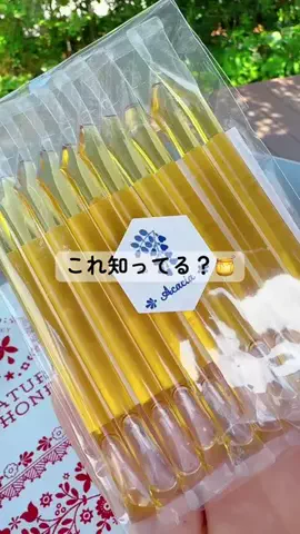 パクパクパラダイスのTikTok投稿