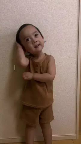 ほいっぷくんのTikTok投稿